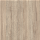 Grampian Elm