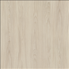 White Cape Elm