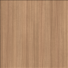 Slavonia Oak (Savannah Oak)