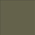 Agave Green